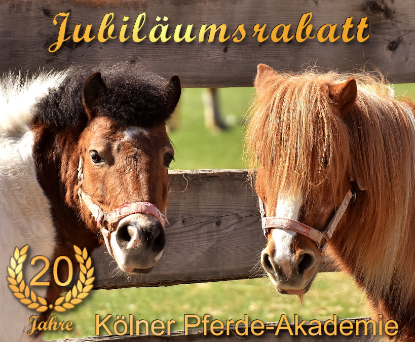 Jubiläumsrabatt