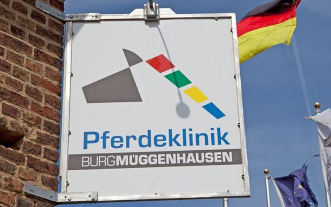 Erste Hilfe am Pferd 03/26