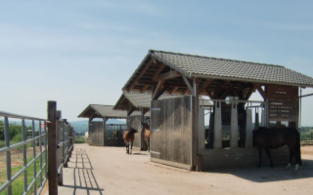 Sachkundelehrgang Pferdehaltung 09/26