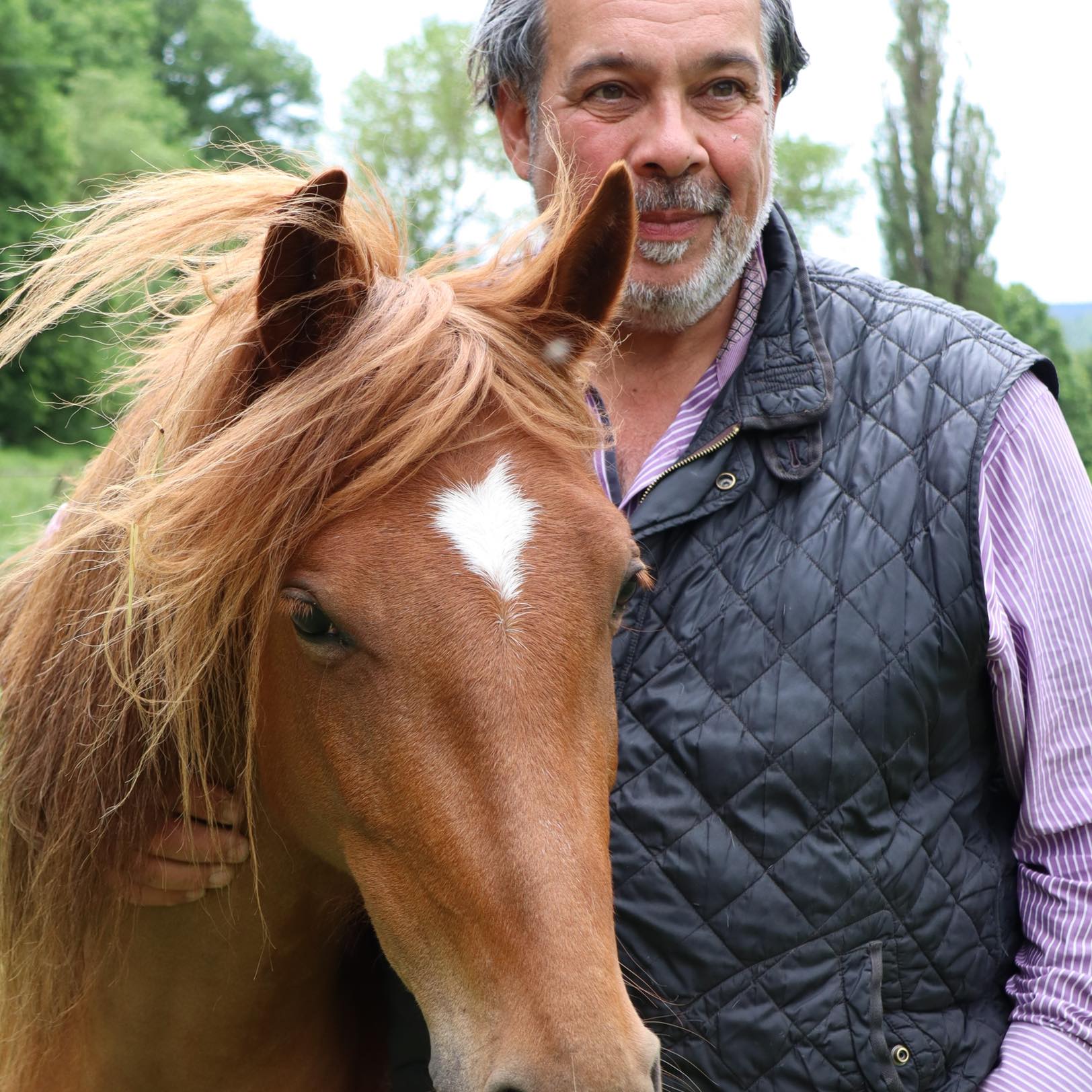 Pferdefachwirt KPA 21 Ahmed Al Samarraie