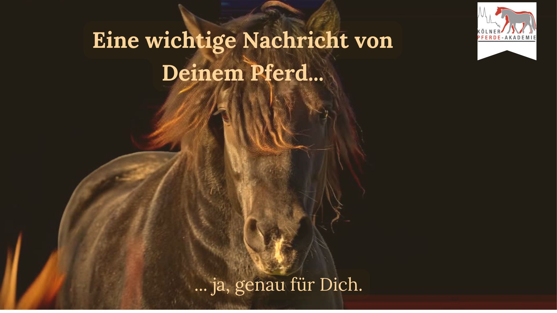 Eine Nachricht für dich von deinem Pferd (400 x 300 px) (Video) Nikolaus Rabatt