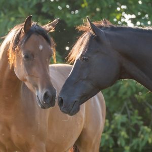 Kommunikation 02/26 10 KO 2