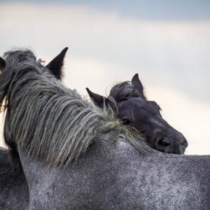 Marketing 02/26 18 MA 2