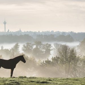 Marketing und Kommunikation 02/26 2 MK 2