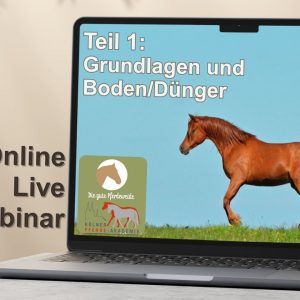 Die Pferdeweide - Grundlagen und Boden/Dünger 02/26 34 MWM GBD