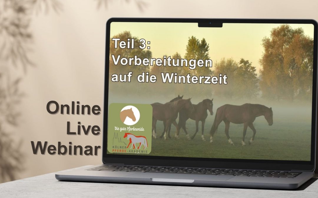 Vorbereitung auf den Winter 09/26