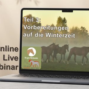 Veranstaltungen 90 MWM VW