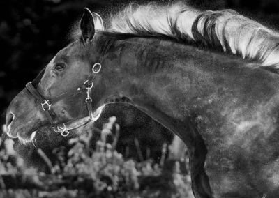 Melanie unten Seite 8