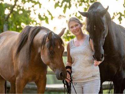 Kölner Pferde-Akademie 4 PFW neu HP Startseite