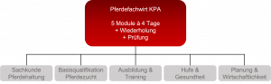 Pferdefachwirt 09/26 10 Pferdefachwirt schematisch